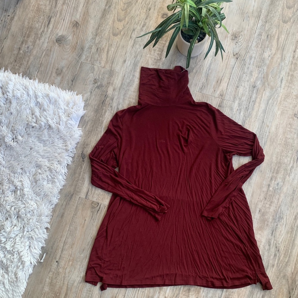Maroon Turtle Neck Dress